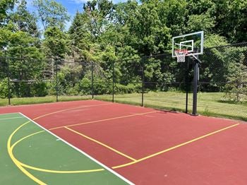 Basketball