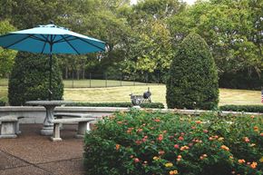 Madison apartment for rent - a picnic table with an umbrella in a park