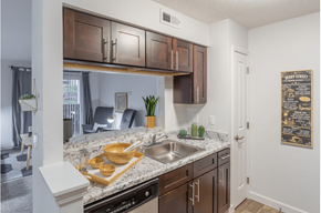 Cincinnati apartment for rent - Stainless Steel Sink With Faucet In Kitchen at Hilltop Apartments, Cincinnati