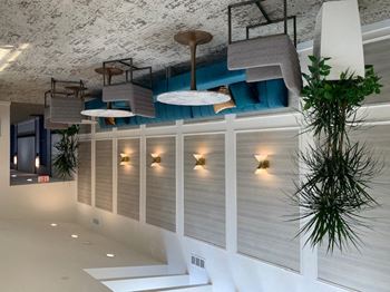 A living room with a blue couch and plants on the ceiling