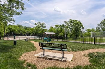Dog park