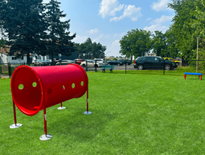 Oregon apartment for rent - a red mailbox on a grassy field