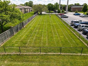 Lawn