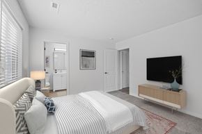 Hamilton apartment for rent - A bedroom with a bed, a couch, a television, and a rug.