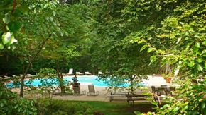 Cincinnati condo for rent - A pool surrounded by green trees and bushes.