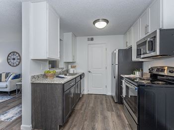 Stainless appliances