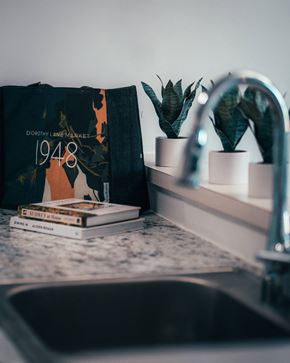 Urbana apartment for rent - a bathroom sink with a book and plants on a shelf