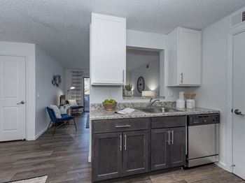 Kitchen with a sink and cabinets and a living room