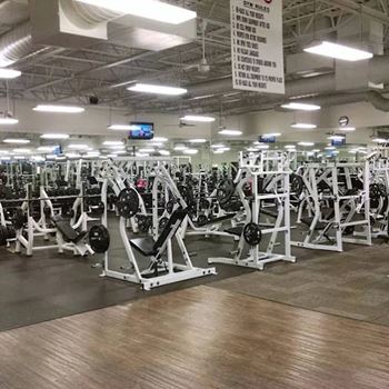 Fitness 19 gym membership