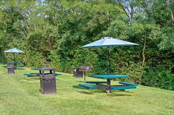 New!! Picnic and grilling area