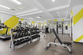 A gym with a variety of equipment including weights and a bench.