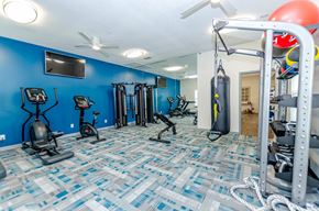 Villa Rica apartment for rent - A gym with blue walls and a variety of exercise equipment.