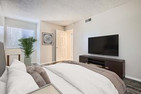 Colorado Springs apartment for rent - A bedroom with a bed, a television, and a plant.