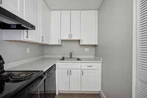 Colorado Springs apartment for rent - an empty kitchen with white cabinets and a stove and sink
