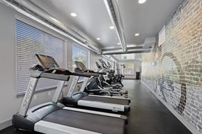 Fort Collins apartment for rent - A row of treadmills are lined up in a gym.