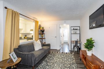 Englewood apartment for rent - A living room with a grey couch and a patterned rug.