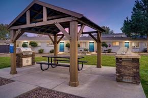 Denver apartment for rent - Picnic area