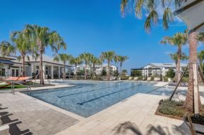 Apopka apartment for rent - a swimming pool with palm trees and buildings in the background