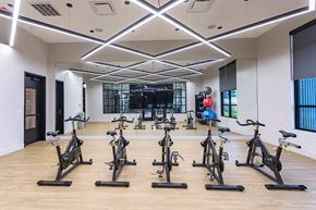 Nashville apartment for rent - the gym has a large amount of exercise bikesat Sterling Nashville West Apartments, Tennessee