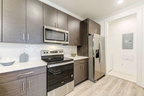 Santa Rosa Beach apartment for rent - a modern kitchen with stainless steel appliances and dark wood cabinets