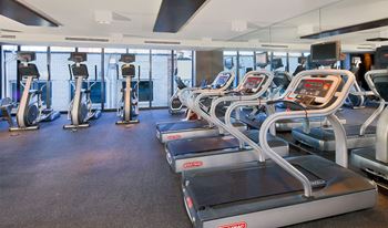 Cardio equipment in fitness center