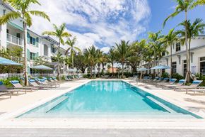 Plantation apartment for rent - Palm trees around pool at Windsor 335, Plantation, Florida