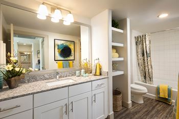 Amenities-single basin kitchen sink with pullout faucet