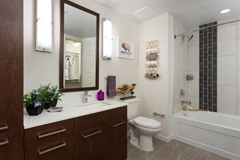 Modelhomes-large soaking tubs with rainwater shower heads