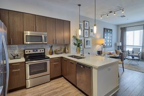 Los Angeles apartment for rent - Vaulted 9' Ceilings at Olympic by Windsor, California, 90015