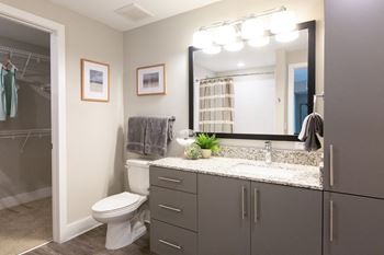 Spa inspired bathrooms