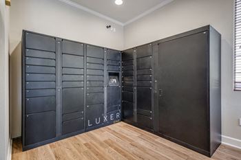 Amenities-24/7 package receiving with luxerone