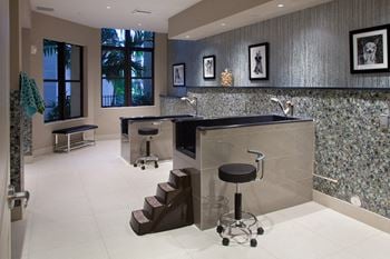 Amenities-pet grooming spa