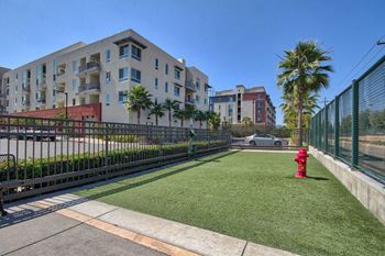 Amenities-pet-friendly community with dog park