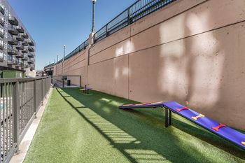 Amenities-pet-friendly apartments community