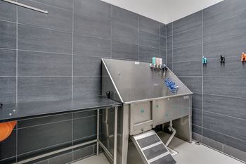 Amenities-on-site pet washing station