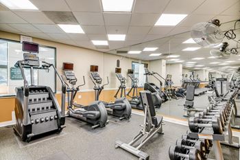 Amenities-cardio and weightlifting equipment in gym