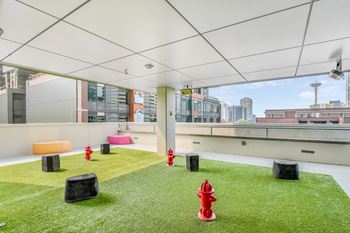 Amenities-rooftop pet park