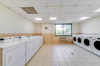 Amenities-on-site laundry facilities