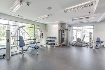 Amenities-cardio, strength, and free weight equipment in fitness center