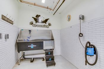 Pet washing station