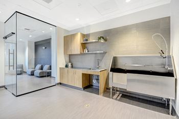 Amenities-pet spa
