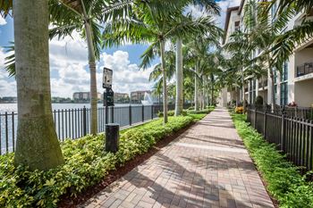 Amenities-pet-friendly apartment community