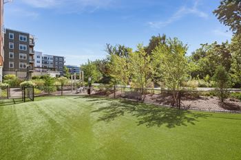 Amenities-dog park