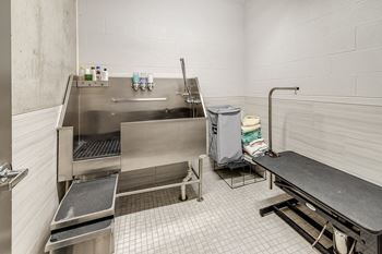 Amenities-pet-friendly apartments with on-site pet spa