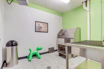 Amenities-on-site pet spa