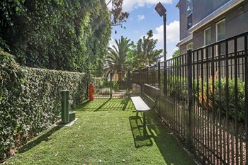 Amenities-outdoor pet park