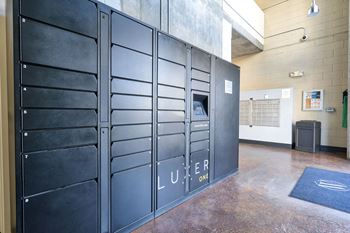 Amenities-luxer one 24/7 package system