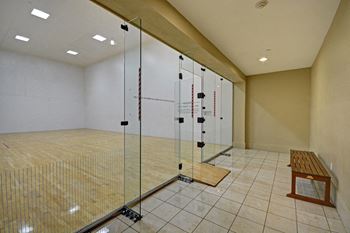 Amenities-racquetball court