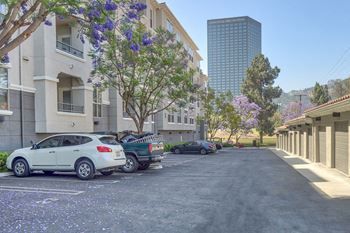 Communityamenities-private garages and parking