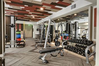 Weights in fitness center